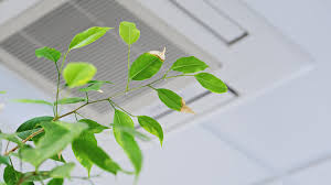 COVID-19 and Indoor Air Quality