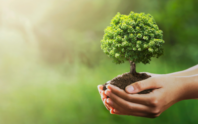 Sustainable HVAC Solutions: Embracing Eco-Friendly Heating & Cooling